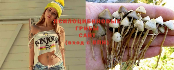 бутират Арсеньев
